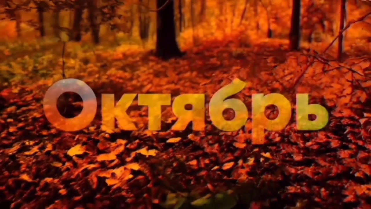 Пибарик-Дневник - 12 октября 2024